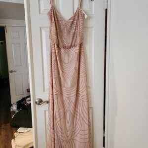 Adrianna Papell Blush Maxi Dress